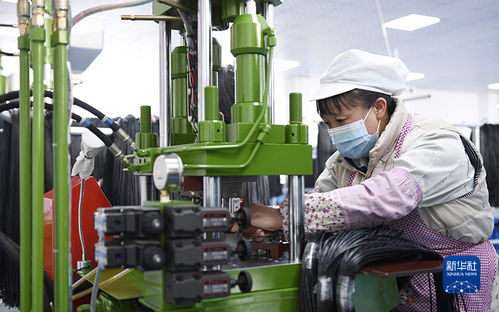 甘肅康樂 鄉村就業工廠節后開工忙